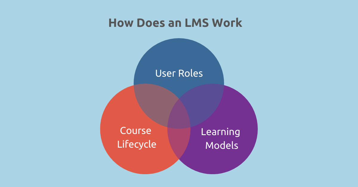 How does an LMS work
