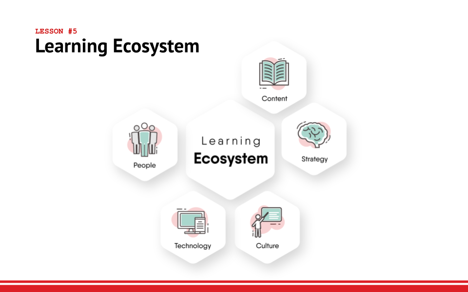 The learning ecosystem components
